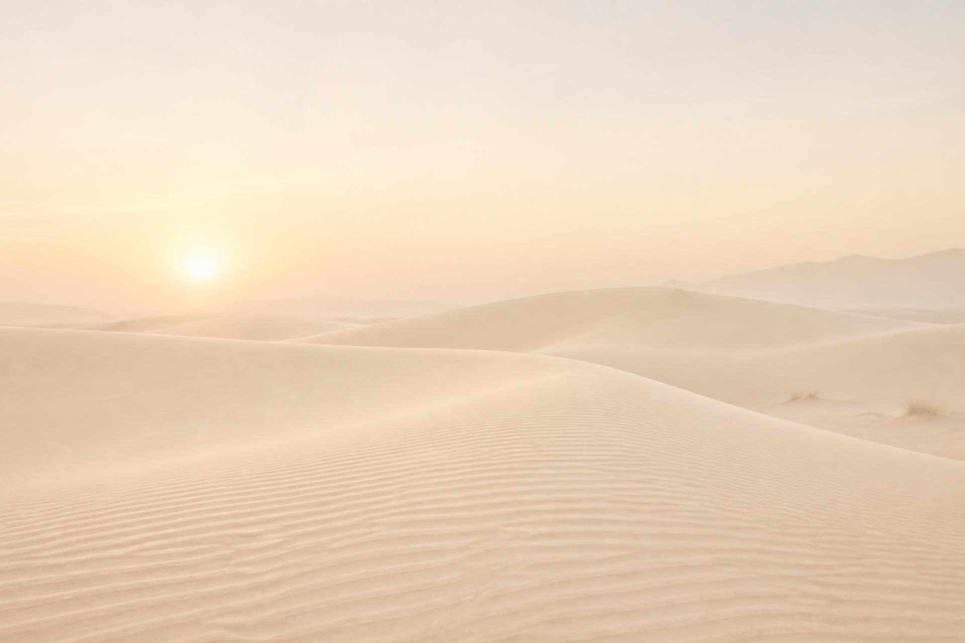 Soft pale sand dunes at dawn
