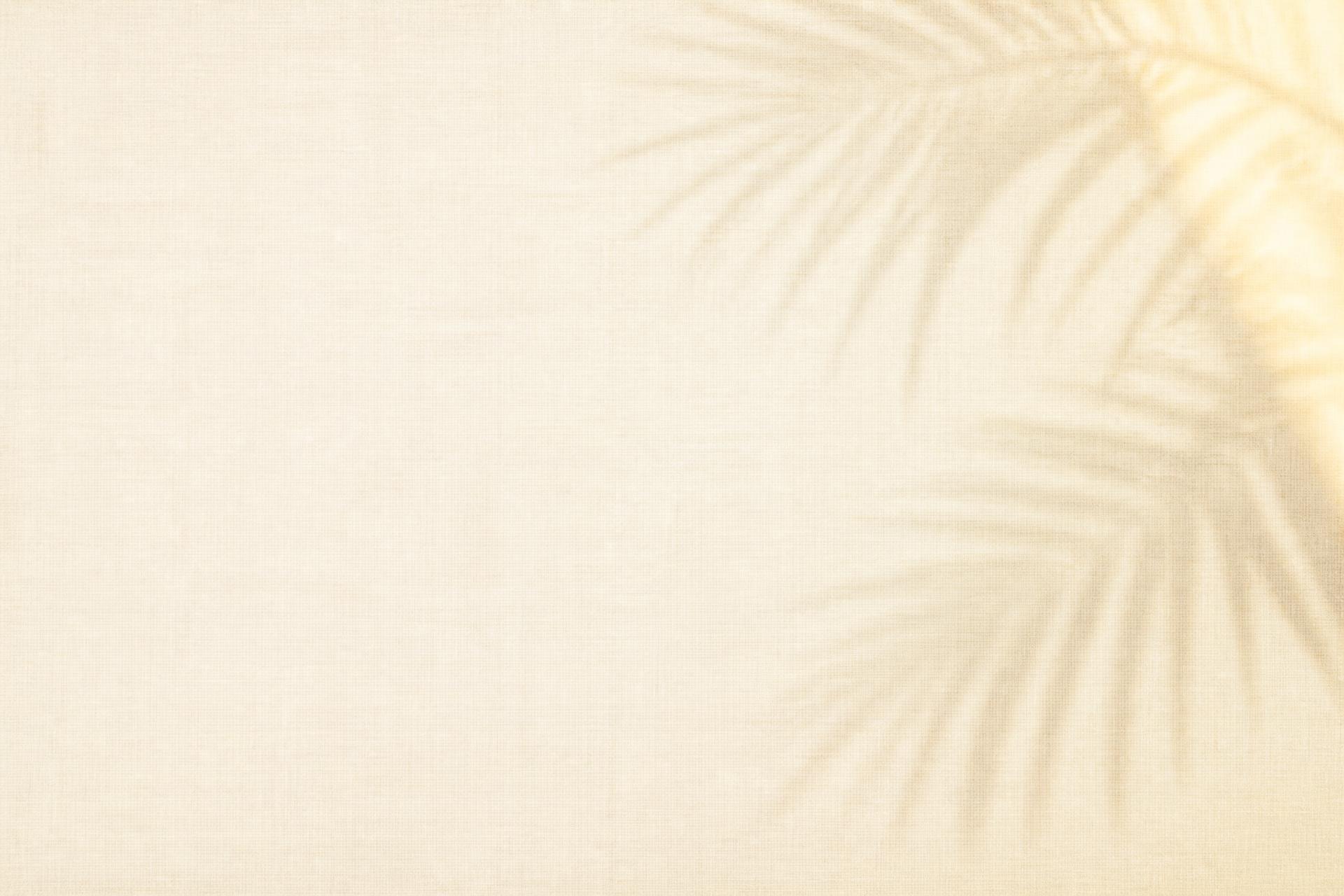 Soft ivory linen texture with faint palm shadows